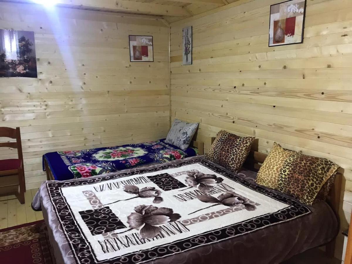 Valbona Villa エクステリア 写真